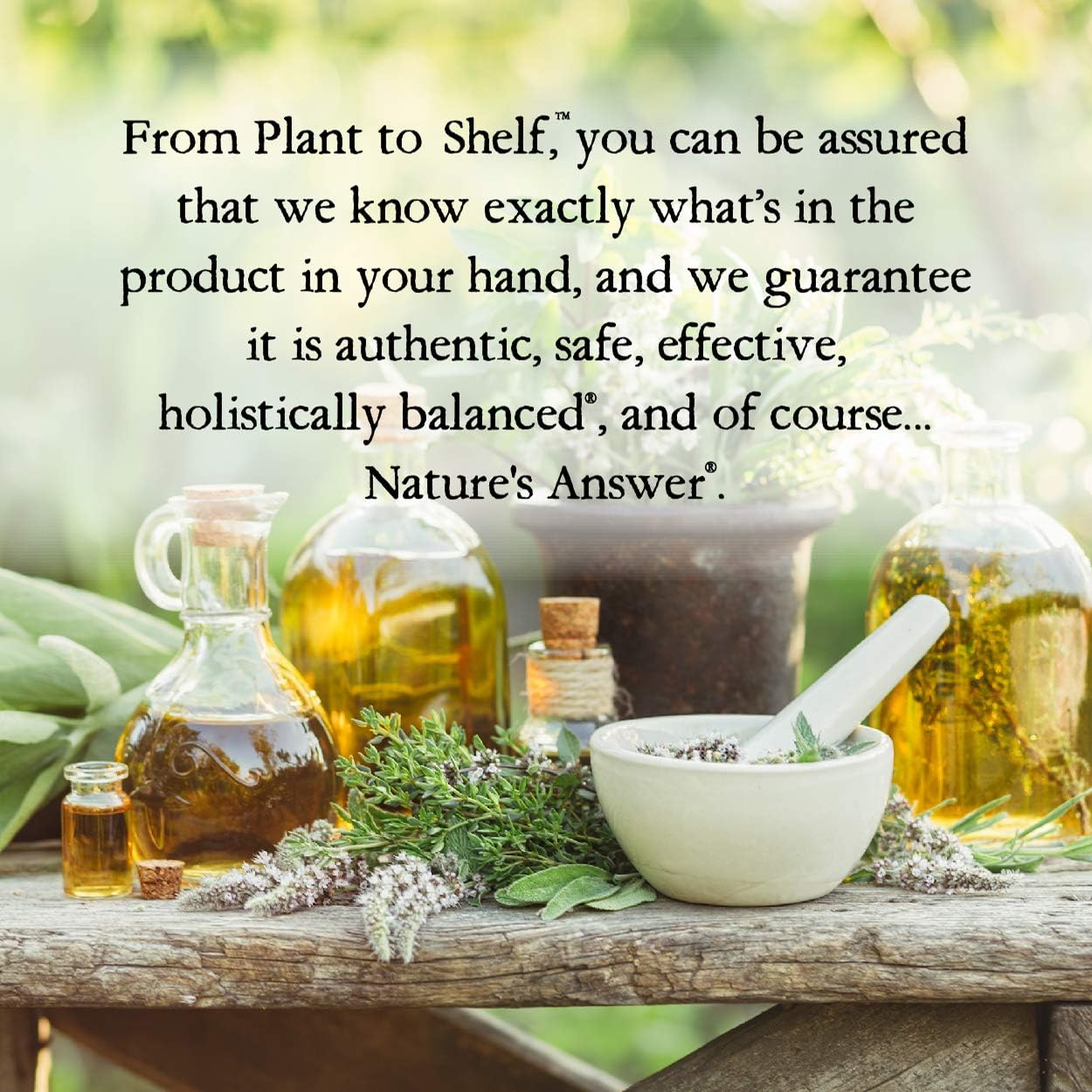 Nature's Answer Low Organic Alcohol Raspberry Leaf Extract, 1-Fluid Ounce nonGMO, Kosher certified, Gluten Free | Supports Health | Soothes Digestion