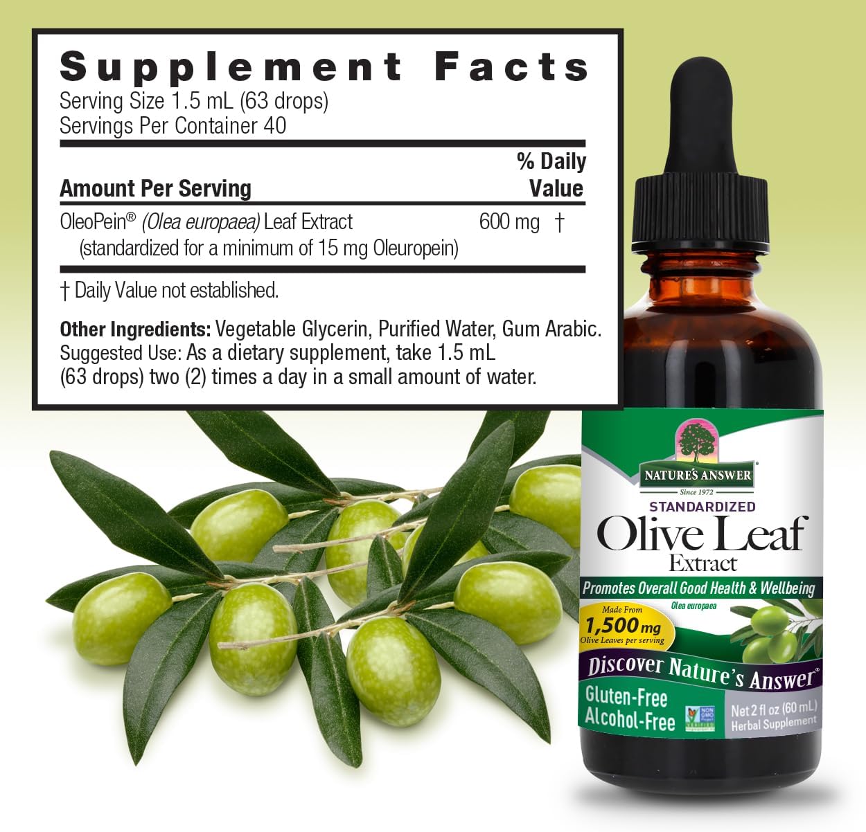 Nature's Answer Olive Leaf Extract, Alcohol-Free, Non-GMO, Vegan, Gluten-Free, Made in USA, 2 Ounce | Olive Leaf Extract for Wellness
