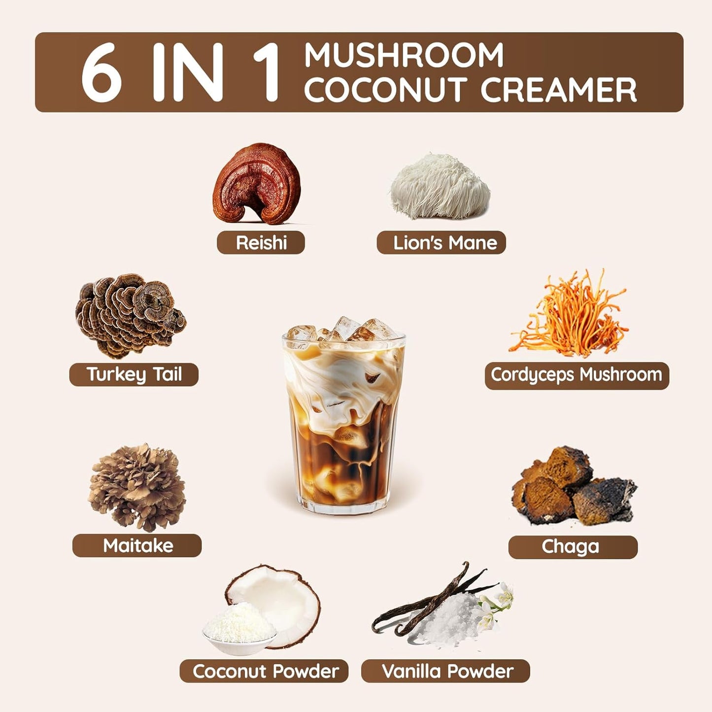 Veltracha Mushroom Coconut Coffee Creamer, Coffee Mate Creamer Powder with Pure Coconut Extract and 6 Adaptogenic Mushroom, Superfood Creamer Vegan & Unsweetened, 7.41oz (30 Servings), Mocha