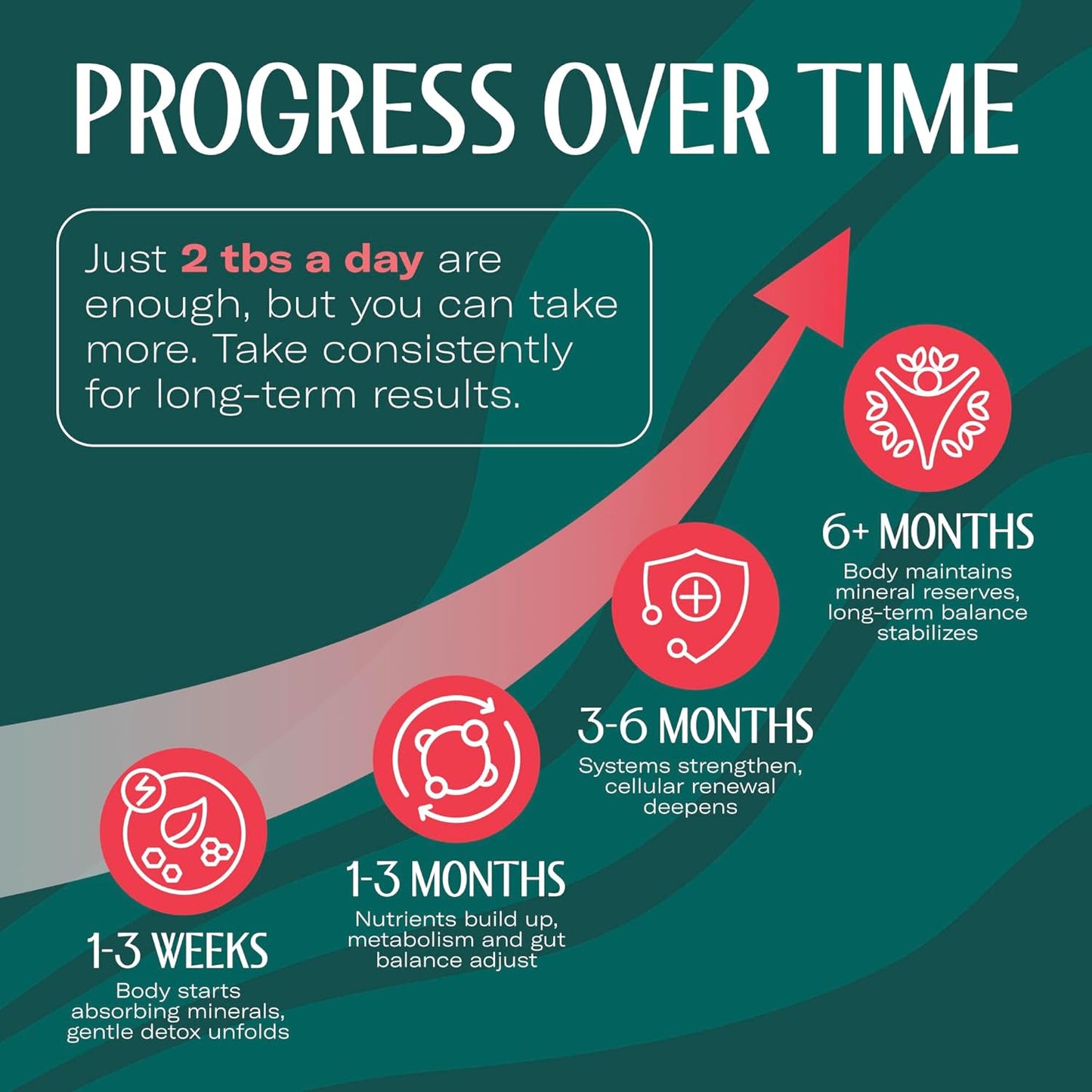 TrueSeaMoss Sea Moss Gel – Made in USA – Wildcrafted Seamoss, Fresh Fruits & Sea Vegetables – Cherry, Pack of 1 (Labels May Vary)