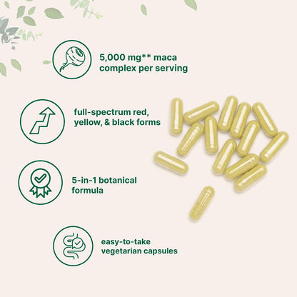 Micro Ingredients Maca Root for Women and Men, 240 Veggie Capsules | Red, Yellow, & Black Maca | with Ashwagandha, Panax Ginseng, Tongkat Ali, & Black Pepper Extract | Non-GMO, Vegan