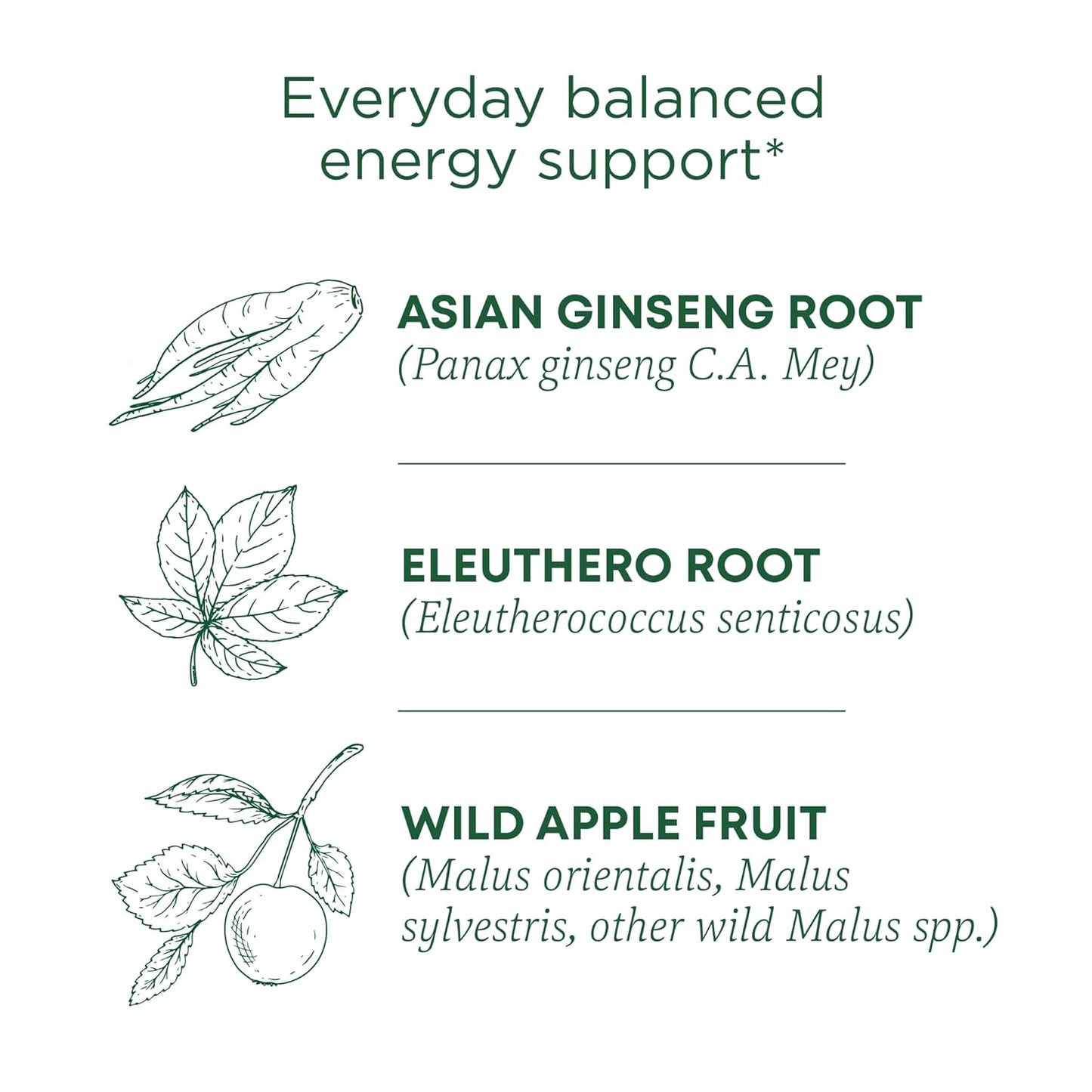 Traditional Medicinals Tea, Organic Stress Ease Focus, with Adaptogens, Everyday Balanced Energy, Ginseng Wild Apple Mint, 16 Tea Bags (Pack of 2)