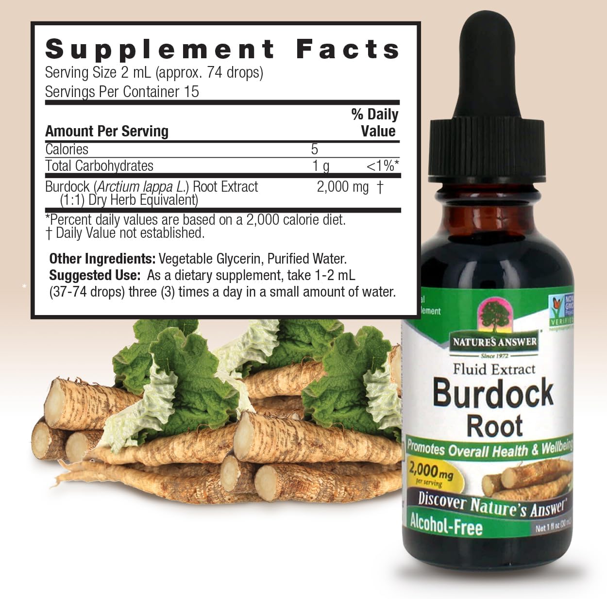 Nature's Answer Burdock Root Extract 1 Ounce - Alcohol Free, Made in USA, Vegan, Non GMO, No Artificial, Preservative Free - Supports Overall Wellness, Immune Support, Lymphatic Drainage