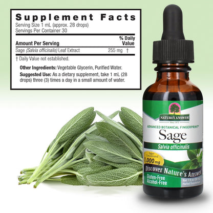 Nature's Answer Alcohol-Free Sage Leaf, 1-Fluid Ounce Sage Liquid Extract Gluten Free Sage Extract Supplement