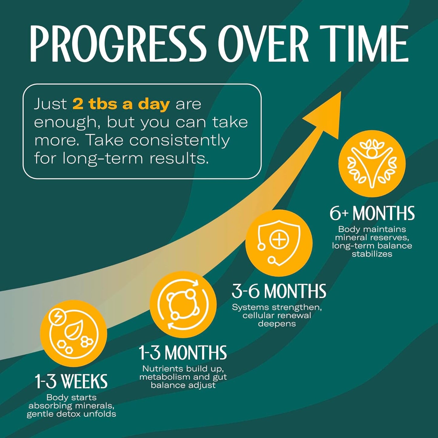 TrueSeaMoss Sea Moss Gel – Made in USA – Wildcrafted Seamoss, Dried Seaweed & Jarred Vegetables – Original, Pack of 1 (Labels may Vary)