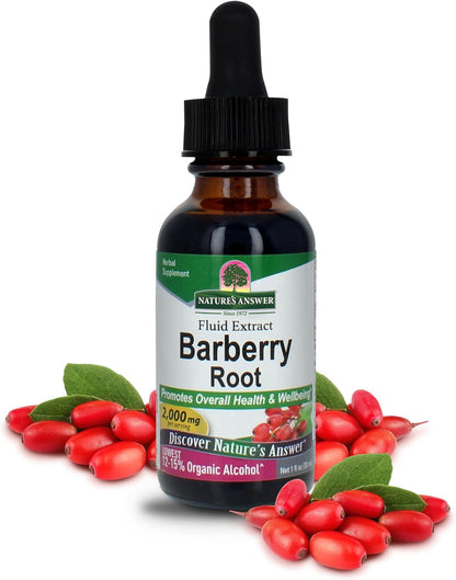 Nature's Answer Barberry Root with Organic Low Alcohol, 1-Fluid Ounce | Promotes Immune Function | Supports Digestive Health
