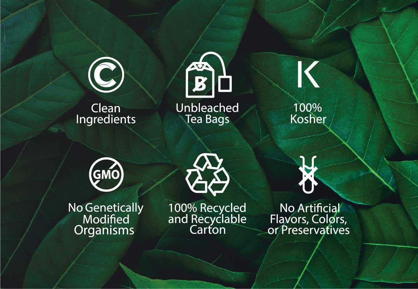 Buddha Teas - Chaga Tea - Organic Herbal Tea - For Cognitive Balance & Overall Health - With Chaga Mushroom, Antioxidants & B Vitamins - Caffeine Free - OU Kosher - 18 Tea Bags (Pack of 1)