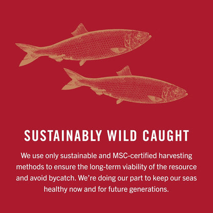 King Oscar Kipper Snacks, 3.54 Ounce Cans (Pack of 12), Lightly Smoked Herring Fillets, Wild Caught Canned Herring