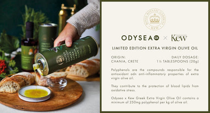 Odysea x Kew Gardens - High Polyphenol Greek Extra Virgin Olive Oil 500ml - Limited Edition - Early Harvest - Healthy - Antioxidant and Anti-inflammatory
