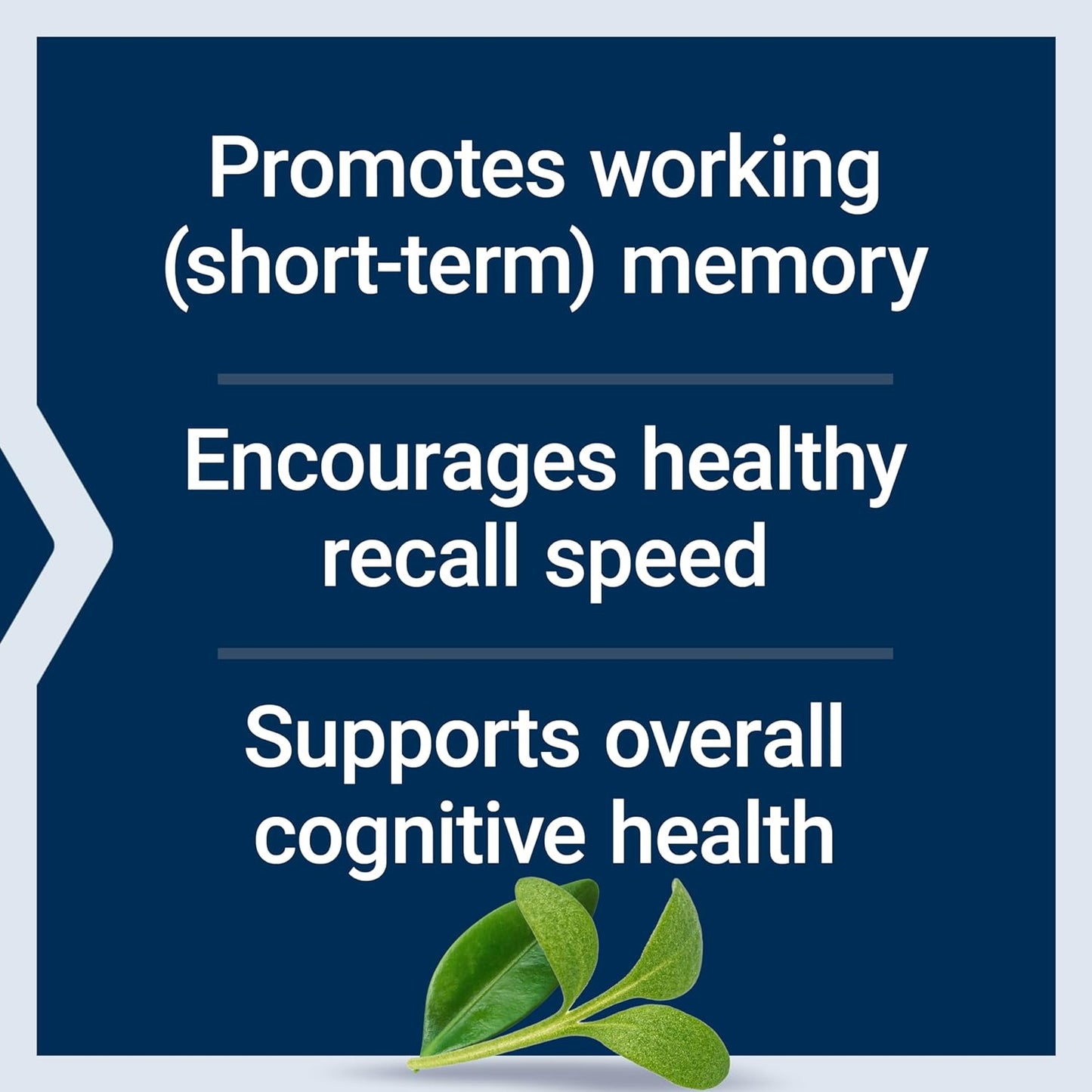 Life Extension Neuro-Mag Magnesium L-Threonate, Magnesium L-threonate, Memory Health, Quick Thinking, Cognitive Health Support, Vegetarian, Non-GMO, 90 Vegetarian Capsules
