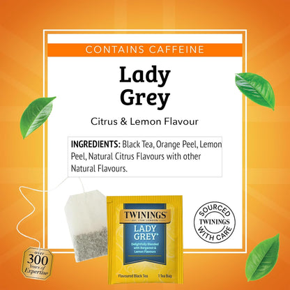 Twinings Wild Berries Herbal Tea Individually Wrapped Bags, 20 Count (Pack of 1), Full-Flavoured, Naturally Caffeine-Free, Enjoy Hot or Iced, 20 Teabags