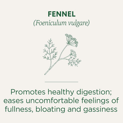 Traditional Medicinals Tea, Organic Fennel, Promotes Healthy Digestion, 16 Tea Bags