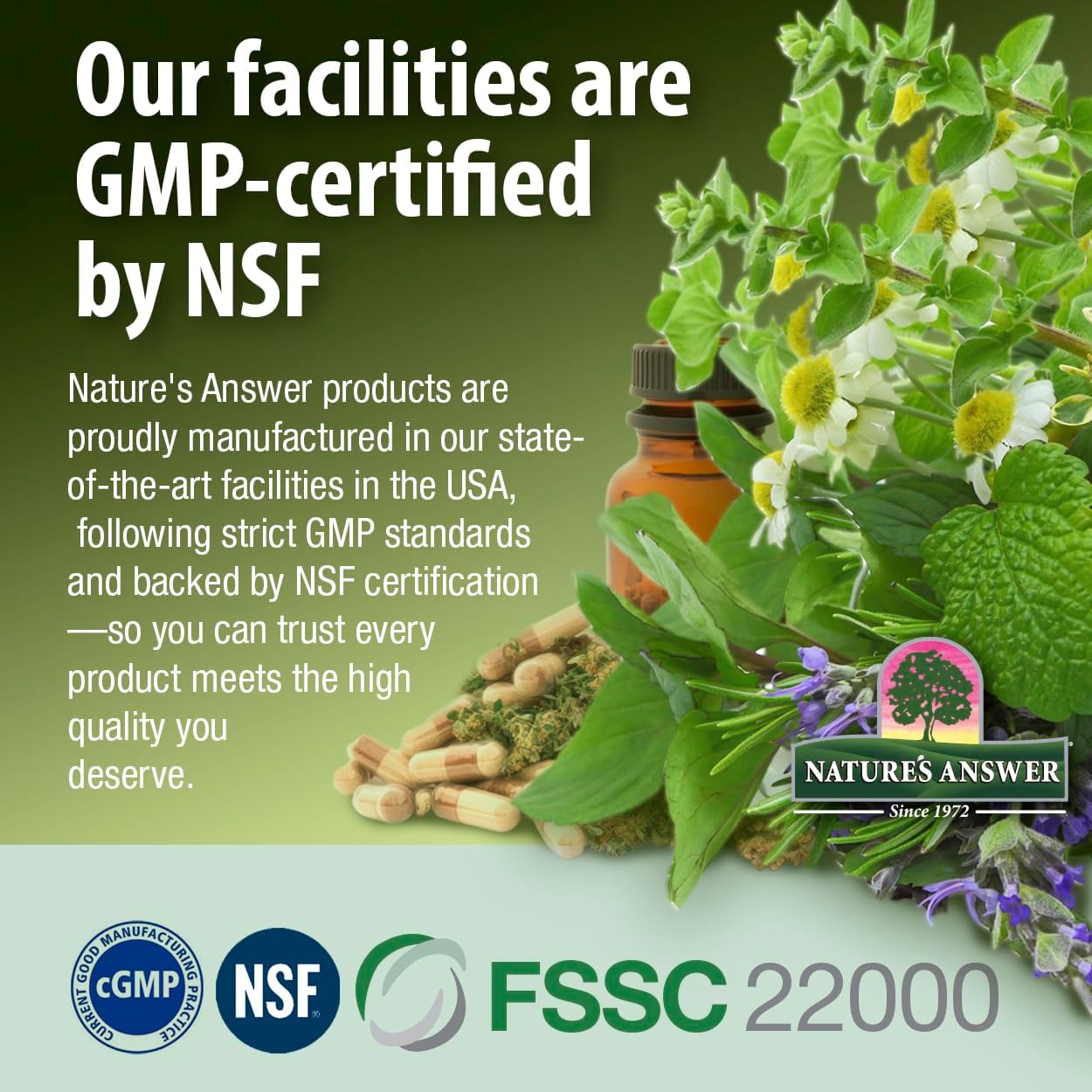 Nature’s Answer Nettle Leaf Alcohol-Free Extract - 30ml