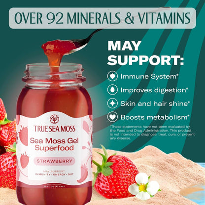 TrueSeaMoss Sea Moss Gel – Made in USA – Wildcrafted Seamoss, Fresh Fruits & Sea Vegetables – Apple/Cinnamon, Pack of 1 (Labels may Vary)