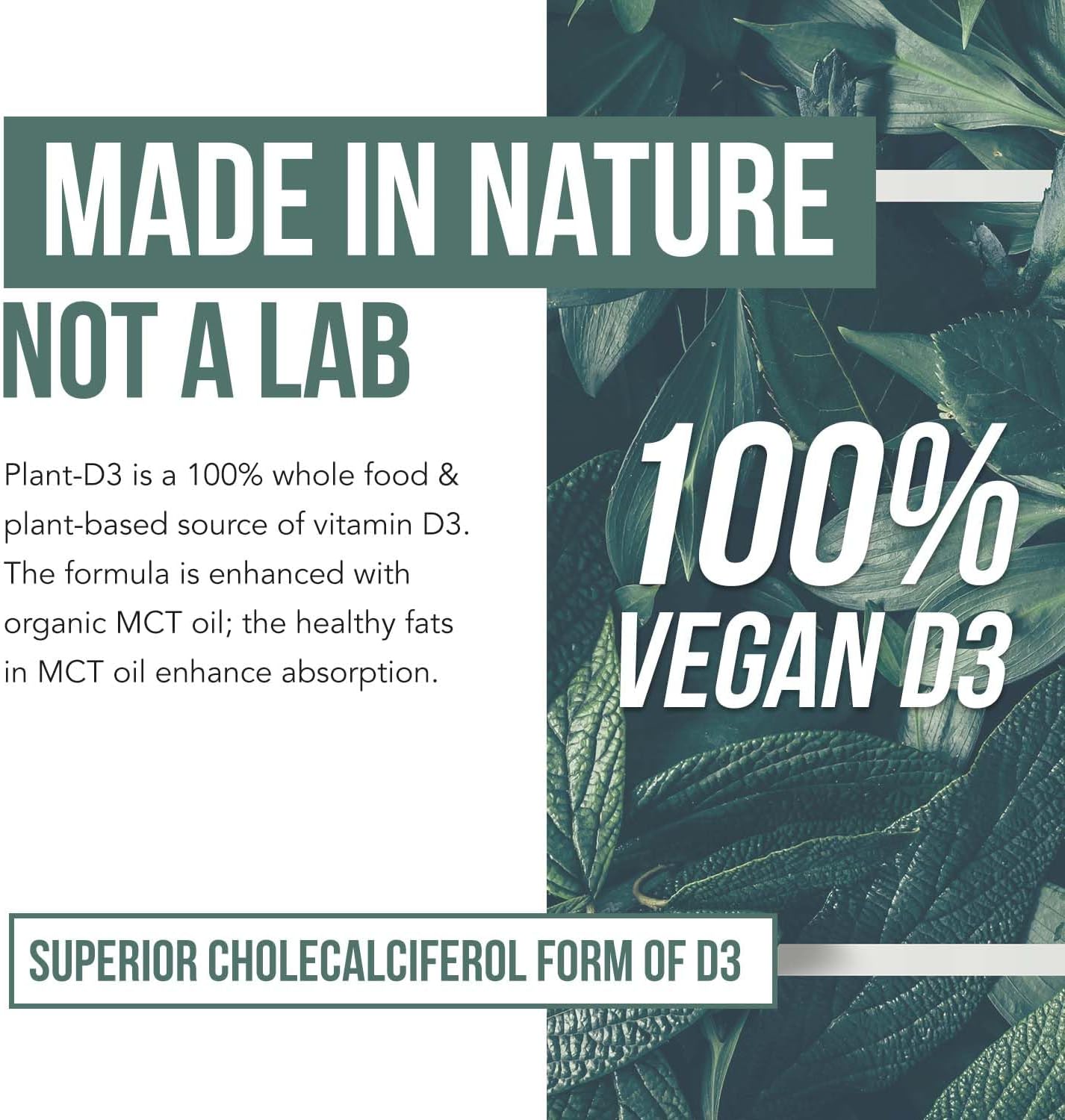 Organic Vitamin D3 10,000 IU - Plant D3, Vegan, Max Strength Sublingual Liquid D3 Drops - 200% Higher Absorption, 100% Plant-Based Cholecalciferol Form & Vegan D3, Adjustable Dosing (30 Servings)