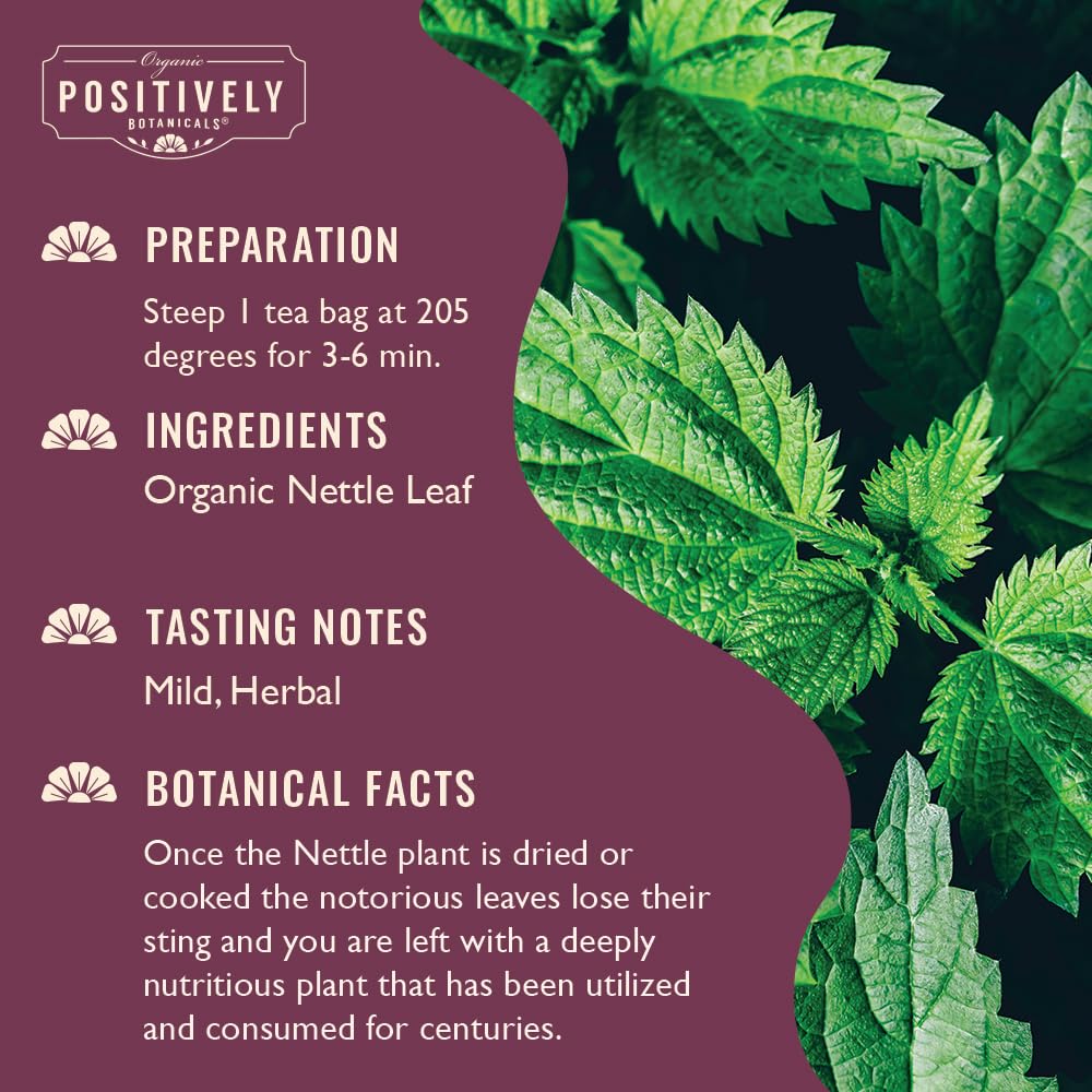 Organic Positively Botanicals Company, Anise Seed Herbal Tea Bags, 20 Count