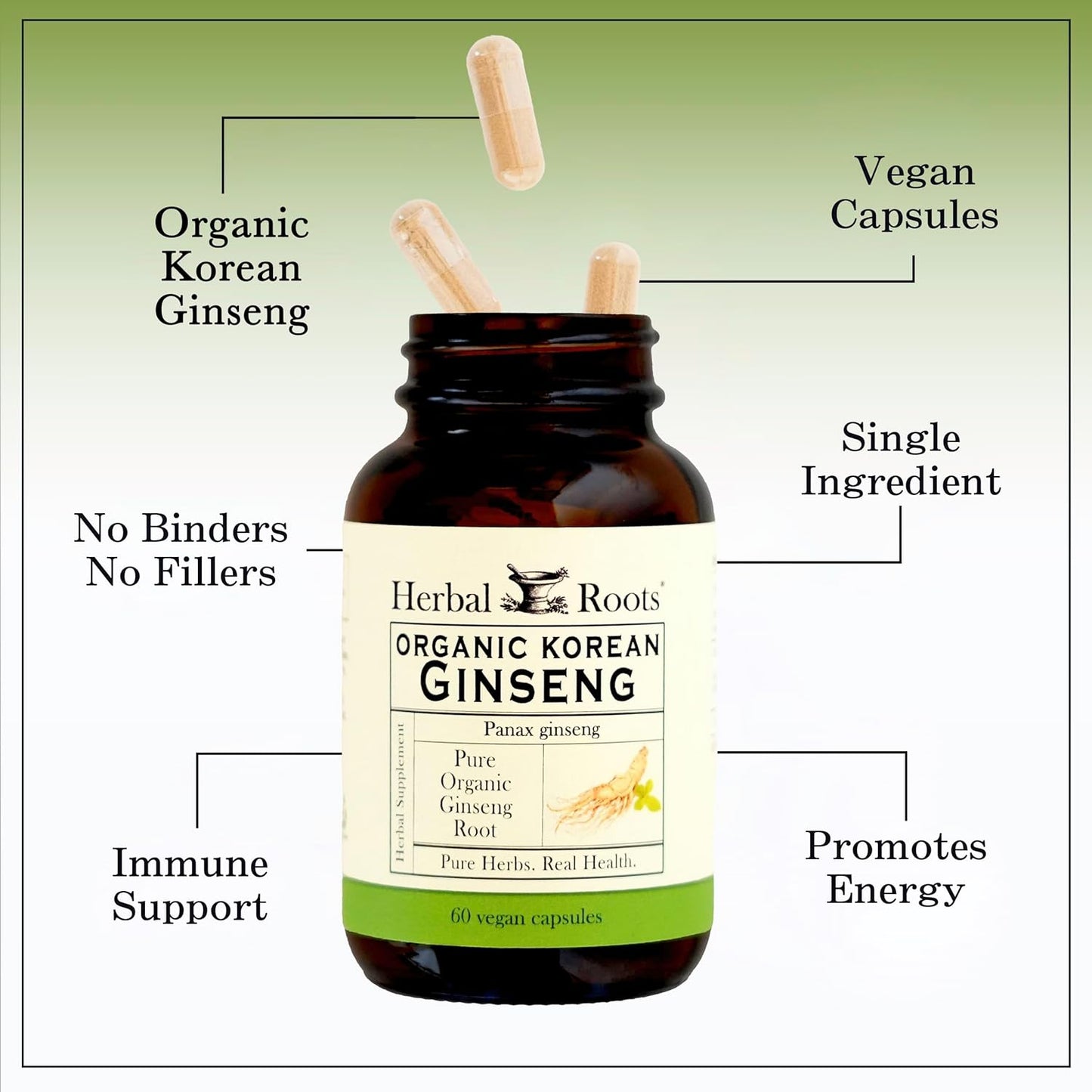 Herbal Roots Panax Ginseng - Organic Korean Ginseng Root Powder - 1000mg - High Ginsenosides for Energy, Focus & Performance - 60 Vegan Capsules Made in The USA