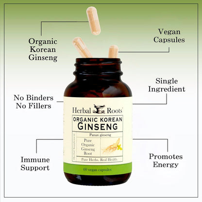 Herbal Roots Panax Ginseng - Organic Korean Ginseng Root Powder - 1000mg - High Ginsenosides for Energy, Focus & Performance - 60 Vegan Capsules Made in The USA