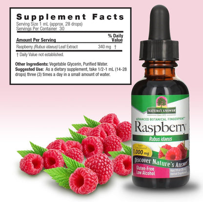 Nature's Answer Low Organic Alcohol Raspberry Leaf Extract, 1-Fluid Ounce nonGMO, Kosher certified, Gluten Free | Supports Health | Soothes Digestion
