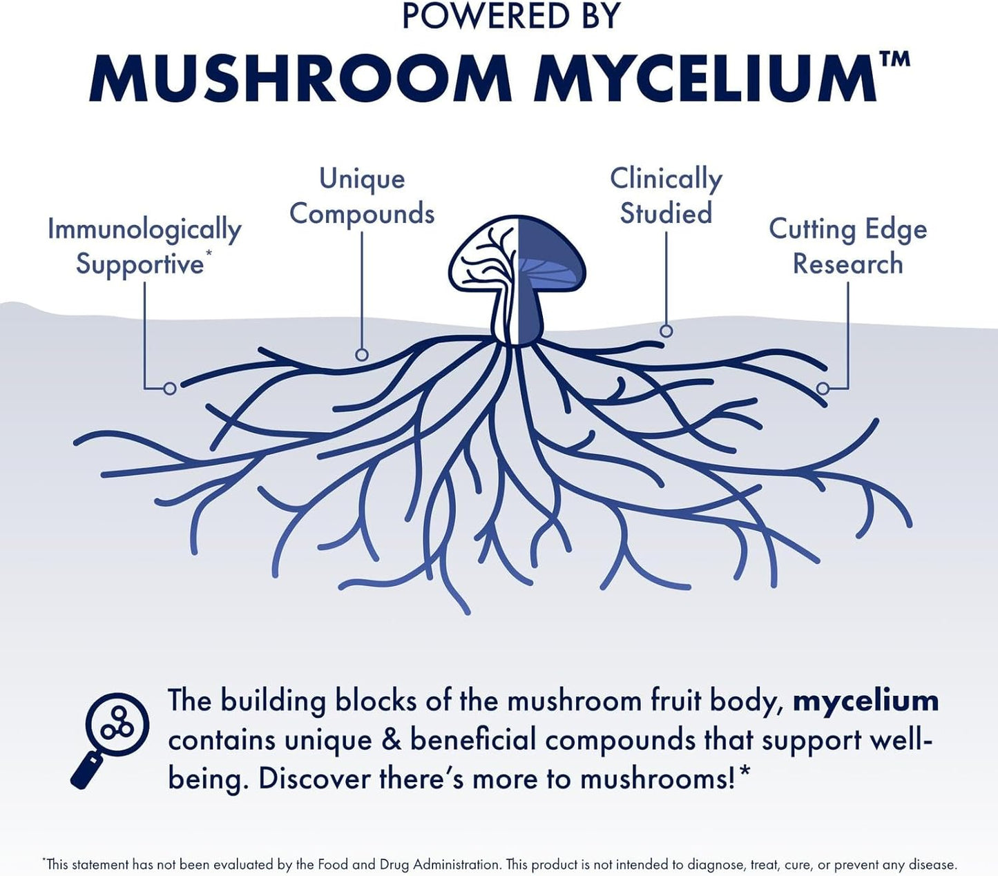 Host Defense MyCommunity Powder - 17 Species Blend Mushroom Supplement for Immune Support - Extract with Lion's Mane, Reishi, Chaga, Cordyceps, Turkey Tail & More - 100g (66 Servings)*