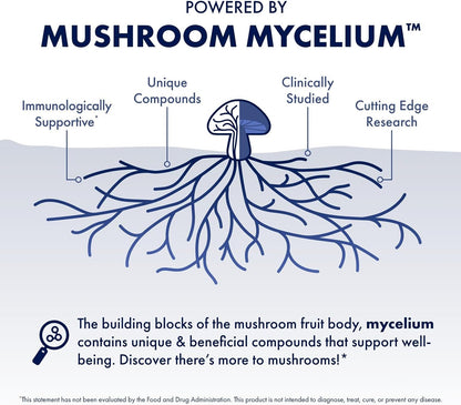 Host Defense MyCommunity Powder - 17 Species Blend Mushroom Supplement for Immune Support - Extract with Lion's Mane, Reishi, Chaga, Cordyceps, Turkey Tail & More - 100g (66 Servings)*