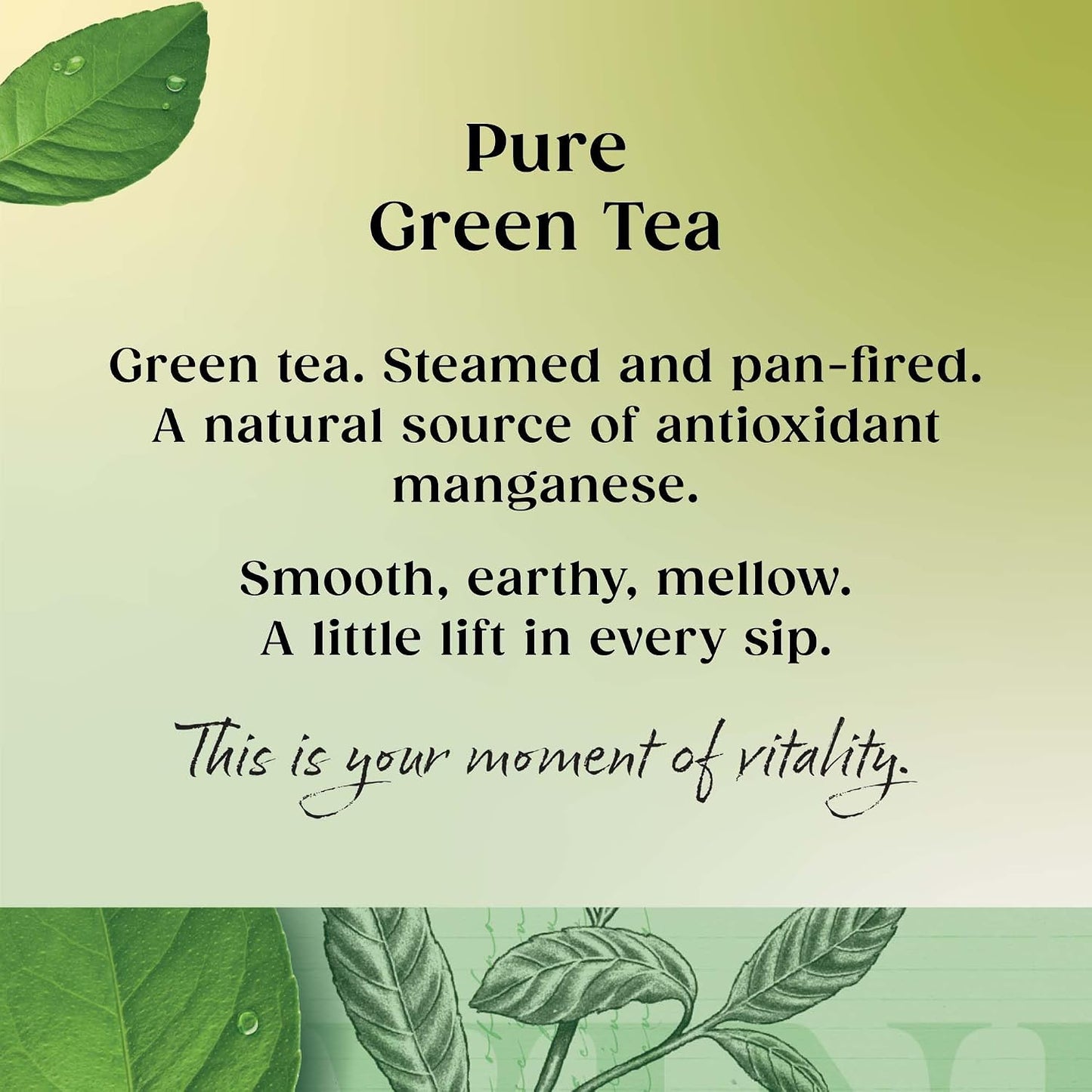 Twinings Pure Green Tea Bags 200 g 80 Tea Bags ( packs of 4 total 320 teabags)