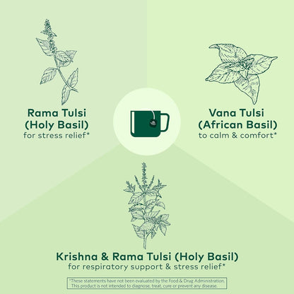 ORGANIC INDIA Tulsi Moringa Tea Bags - Holy Basil, Lemongrass, Moringa Leaves, Stress Relieving & Nourishing, Immune Support Tea, Vegan, Certified Organic, Caffeine-Free - 18 Infusion Bags, 6 Pack