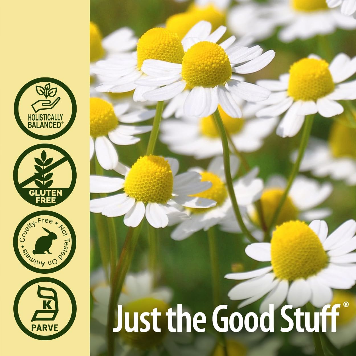 Nature's Answer Chamomile Flower with Organic-Alcohol 2000mg 1oz Extract | Mood Support | Digestion Support | Gluten-Free, Non-GMO, Vegan, No Artificial Flavors or Preservatives | Single County