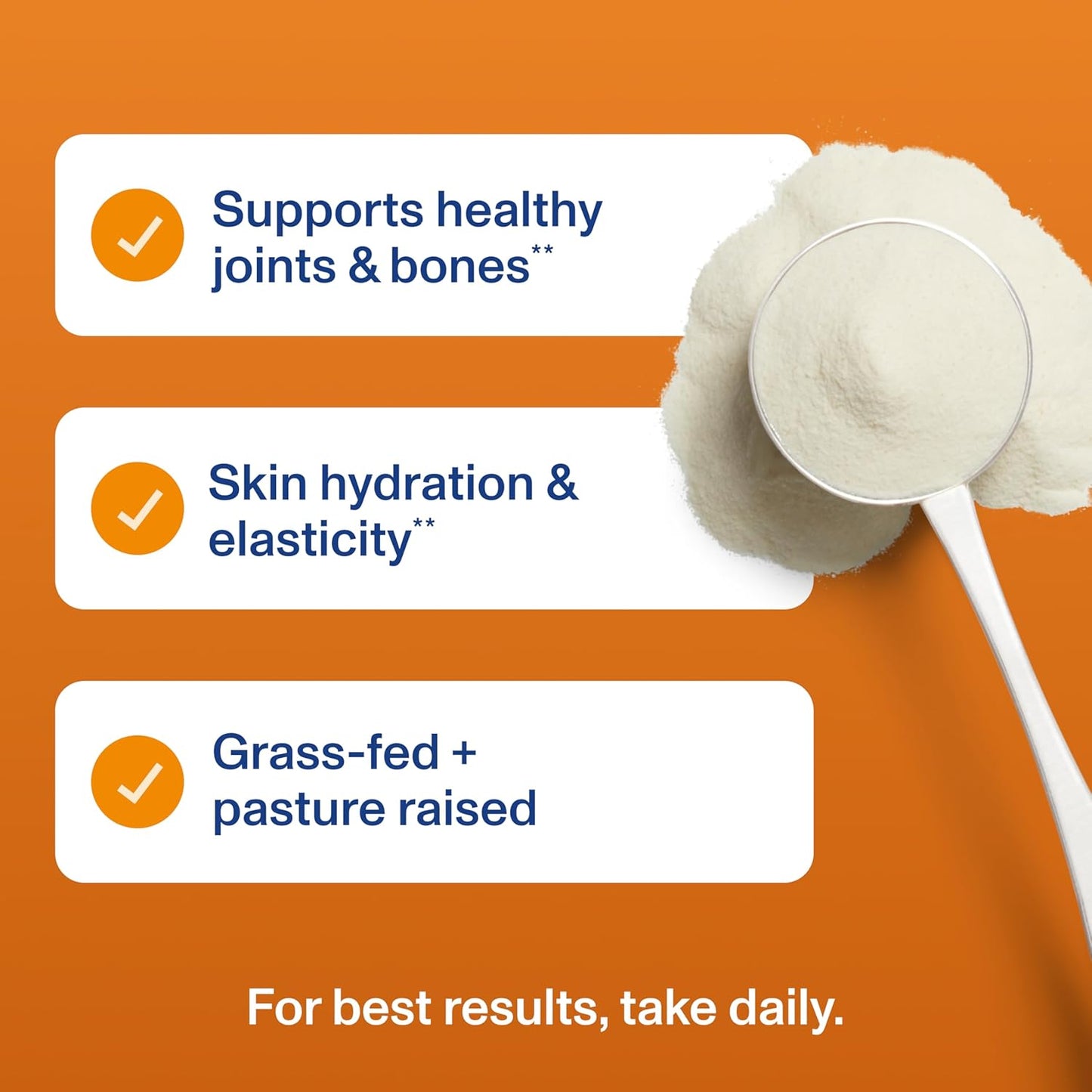 Vital Proteins Collagen Peptides Powder - Grass Fed Collagen Peptides for Hair, Nail, Skin, Bone & Joint Health, Vanilla, 23.2 Ounces