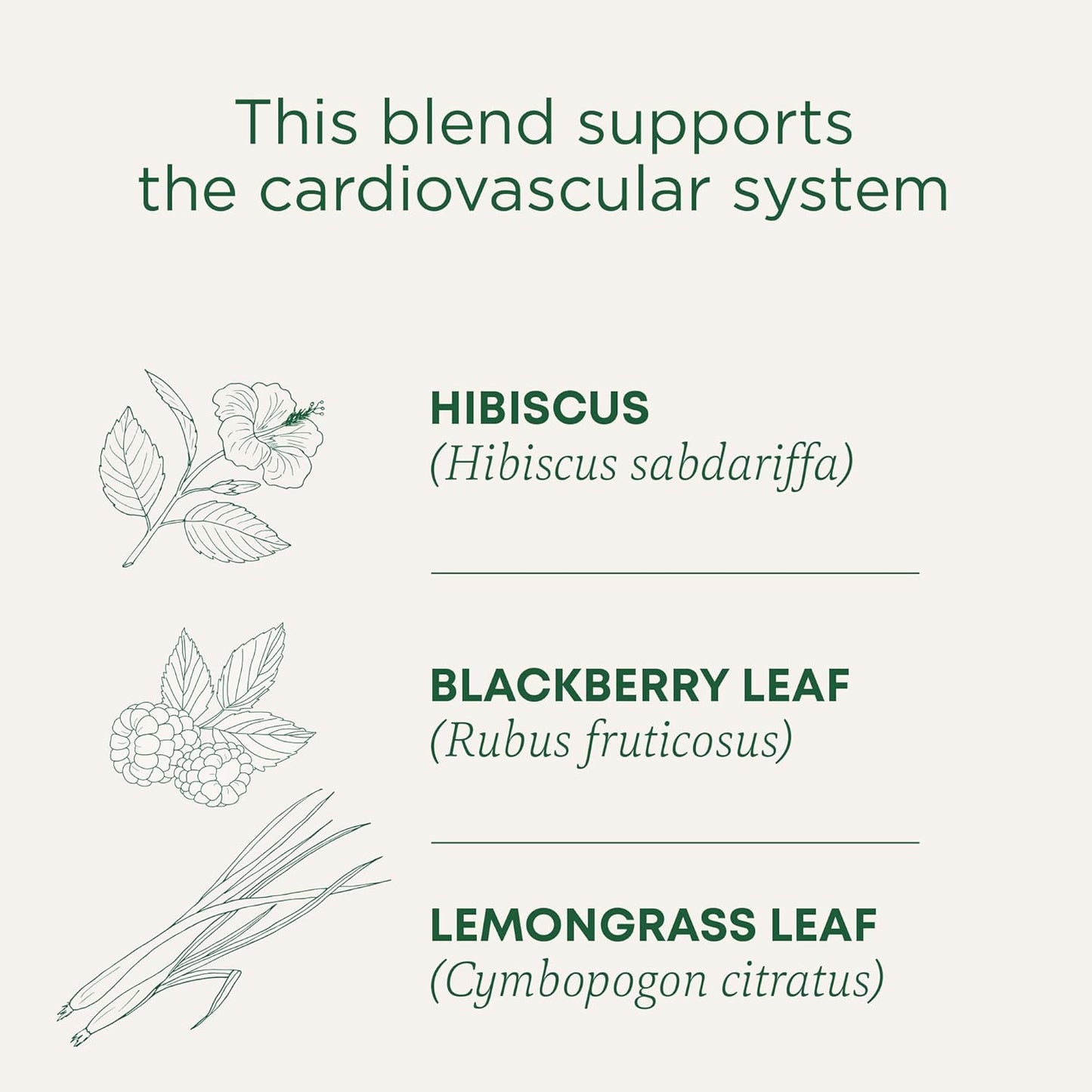 Traditional Medicinals Tea, Organic Hibiscus, Supports Your Cardiovascular System, 16 Tea Bags