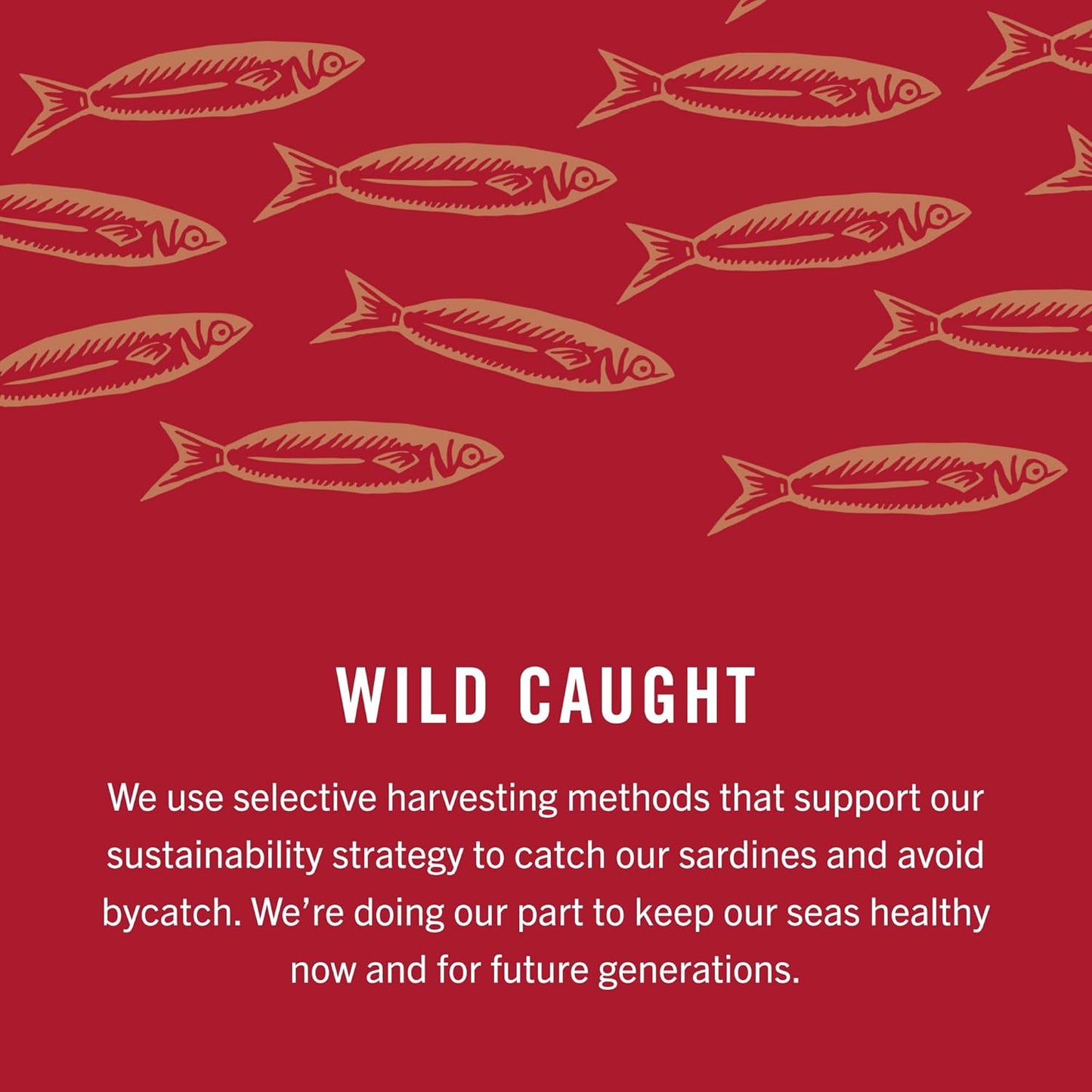 King Oscar Sardines in Water, 4.23 Ounce Cans (Pack of 1( Packaging May Vary), Skinless & Boneless, Wild Caught Canned Sardines, Low Sodium