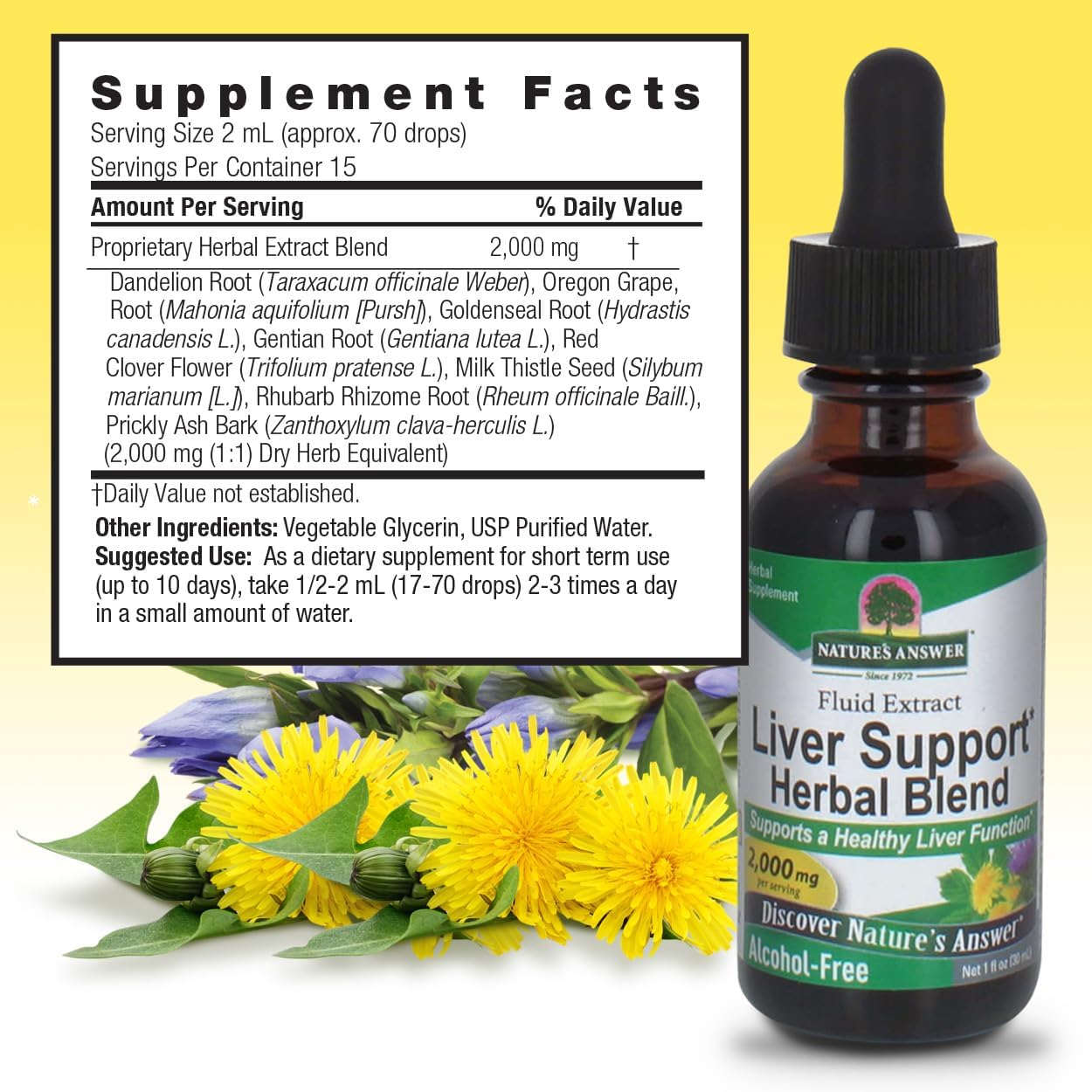 Nature's Answer Alcohol-Free Liver Support 2000mg 1oz | Promotes Liver Function | Natural Cleanser & Detoxifier | Support Overall Well-Being | Gluten-Free | Single Count