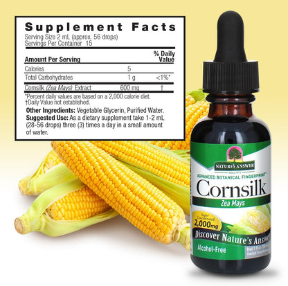Nature's Answer Alcohol-Free Cornsilk, 1-Fluid Ounce
