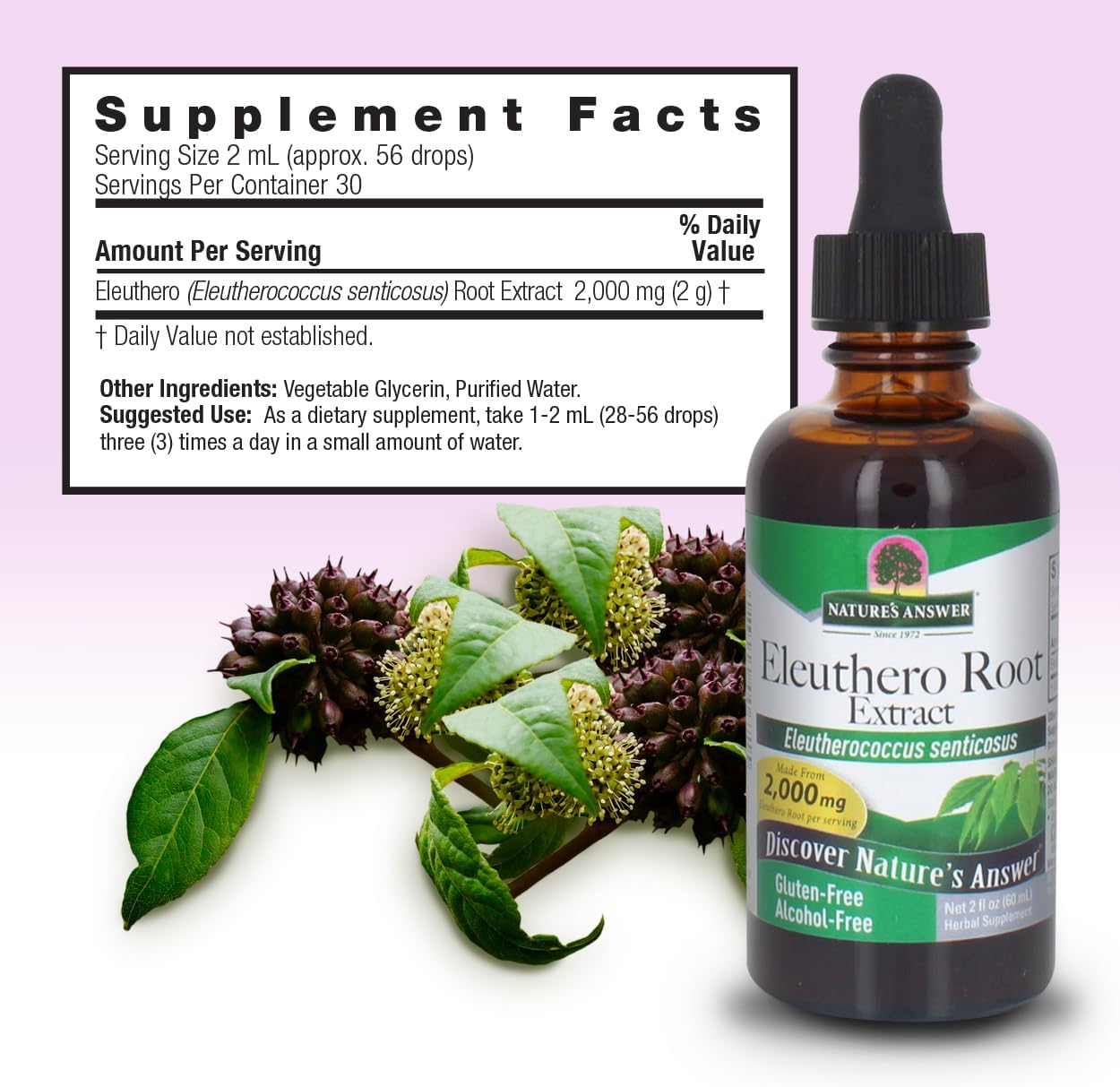 Nature's Answer Alcohol-Free Eleuthero Root, 2-Fluid Ounces