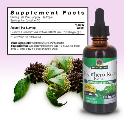 Nature's Answer Alcohol-Free Eleuthero Root, 2-Fluid Ounces