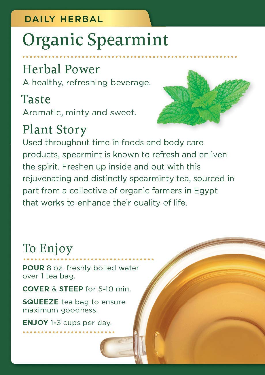 Traditional Medicinals Organic Spearmint Herbal Tea, Healthy & Refreshing, (Pack of 1) - 16 Tea Bags