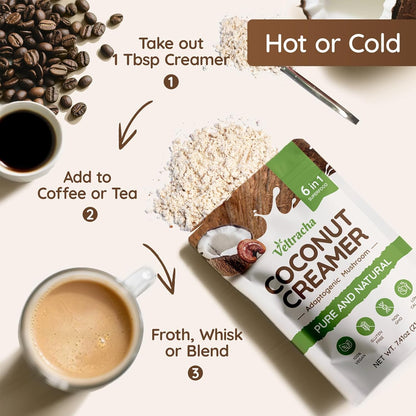 Veltracha Mushroom Coconut Coffee Creamer, Coffee Mate Creamer Powder with Pure Coconut Extract and 6 Adaptogenic Mushroom, Superfood Creamer Vegan & Unsweetened, 7.41oz (30 Servings), Mocha