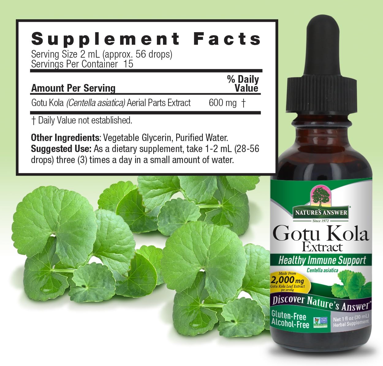 Nature's Answer Gotu Kola Herb Alcohol Free, 1-Fluid Ounce | Dietary Supplement | Supports a Healthy Immune System | Made in The USA | Gluten-Free, Vegan & Vegetarian