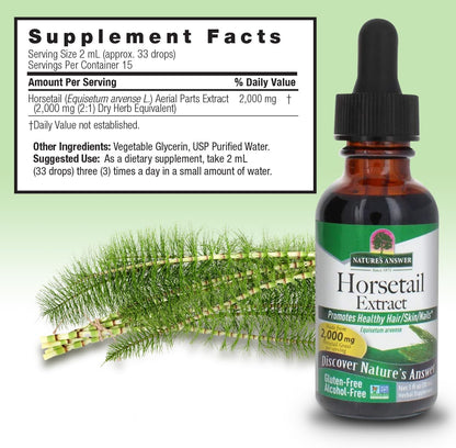 Nature's Answer Alcohol-Free Horsetail Herb Extract Supplement, 1-Fluid Ounce | Hair, Skin, & Nails Support | Promotes Urinary Tract Health | Strengthen Joints