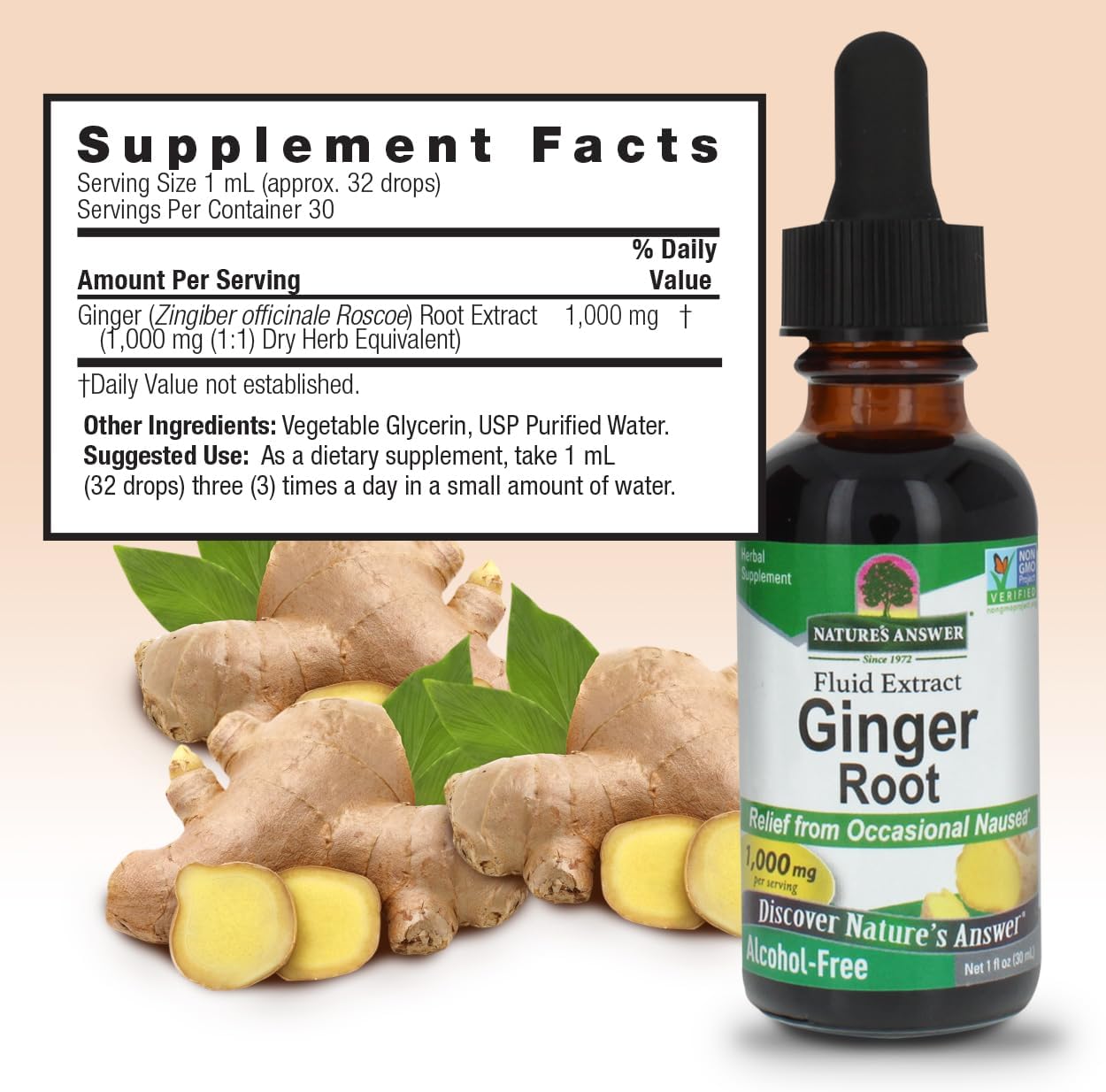 Nature's Answer Ginger Root Alcohol Free Extract 1 Ounce | Supports Stomach Function | Vegan | Vegetarian | Non-GMO | Gluten Free