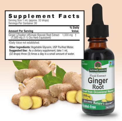 Nature's Answer Ginger Root Alcohol Free Extract 1 Ounce | Supports Stomach Function | Vegan | Vegetarian | Non-GMO | Gluten Free