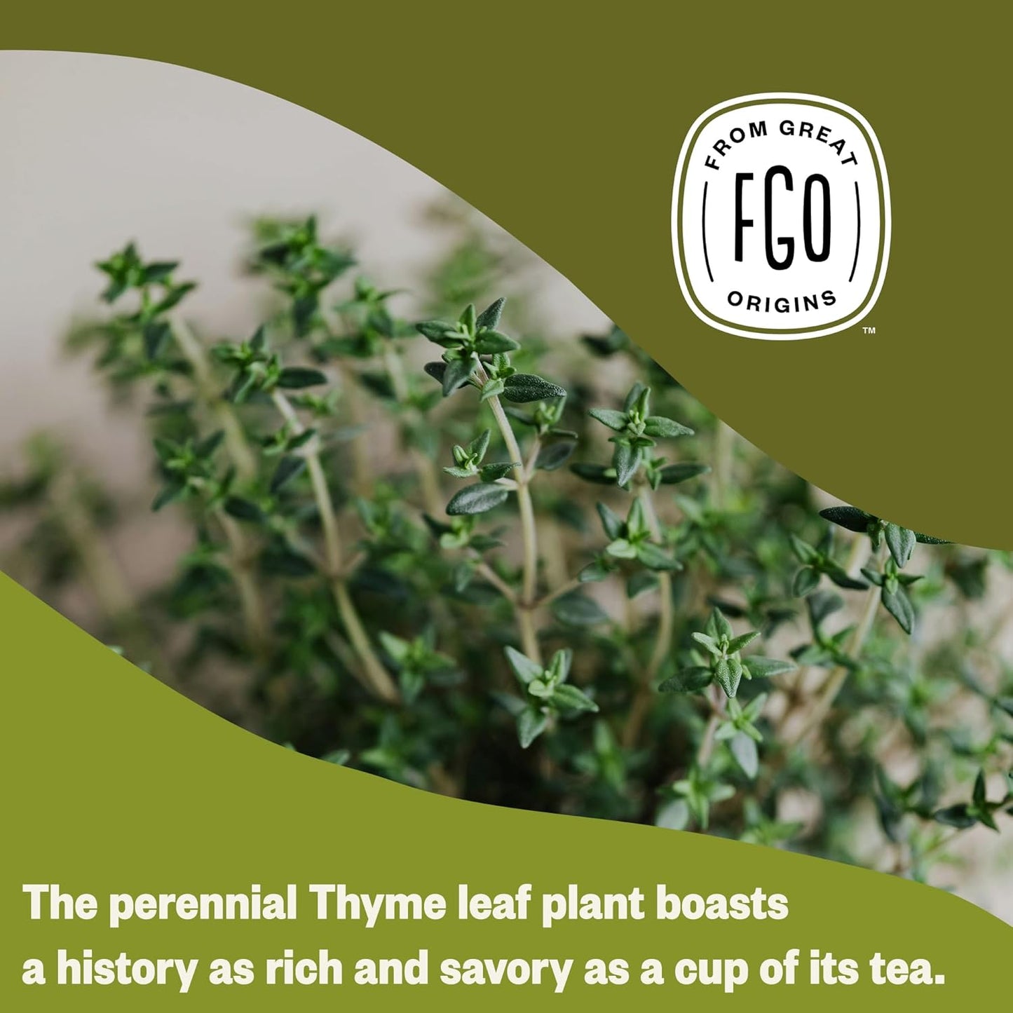 FGO Organic Nettle Leaf Tea, 100 Count, Eco-Conscious Tea Bags, Caffeine Free, Resealable Bag, Packaging May Vary (Pack of 1)