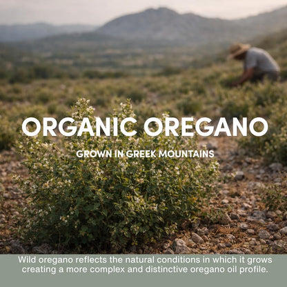 Wild Oregano Oil Organic - 100% Pure Undiluted Organic Wild Oregano Oil with 86-90% Carvacrol, Immune Support - Plant-Based, Herbal Supplement - Vegan, Non GMO, Gluten Free, 1fl.oz/30ml
