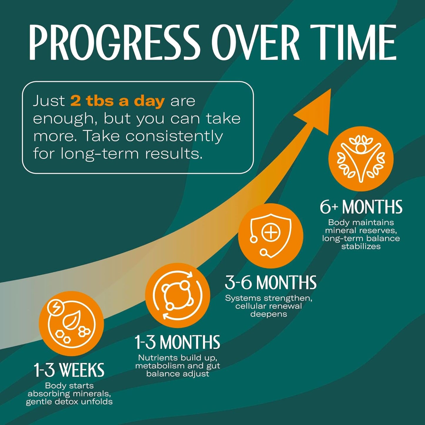 TrueSeaMoss Sea Moss Gel – Made in USA – Wildcrafted Seamoss, Dried Seaweed & Jarred Vegetables – Original, Pack of 1 (Labels may Vary)