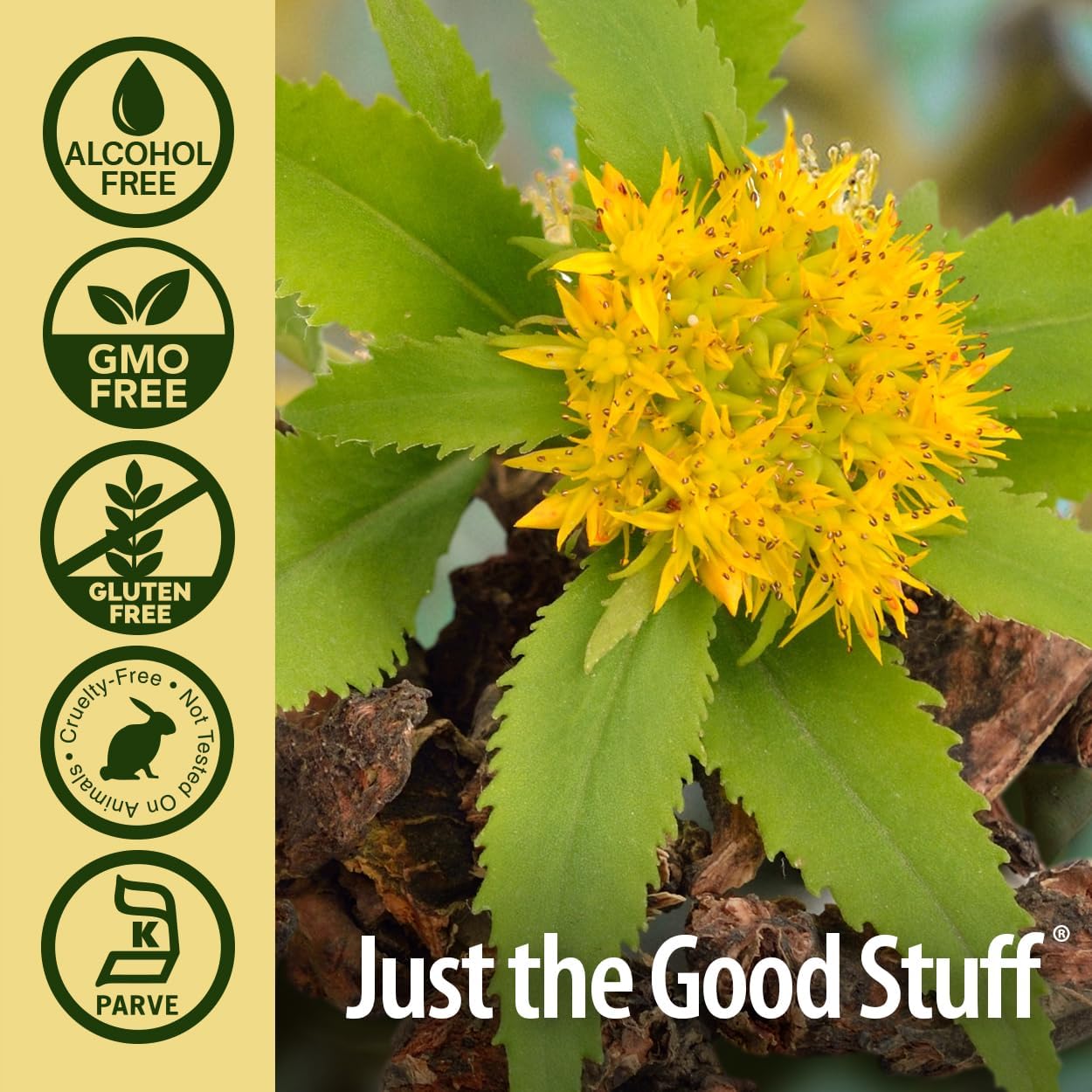 Nature's Answer Rhodiola Root | Super Concentrated Herbal Supplement | Helps Aid & Reduce Stress | Alcohol-Free, Gluten-Free and Kosher Certified 1oz