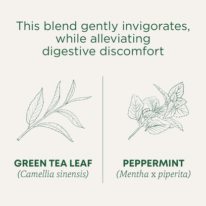 Traditional Medicinals Organic Green Tea Peppermint Tea, 16 Tea Bags