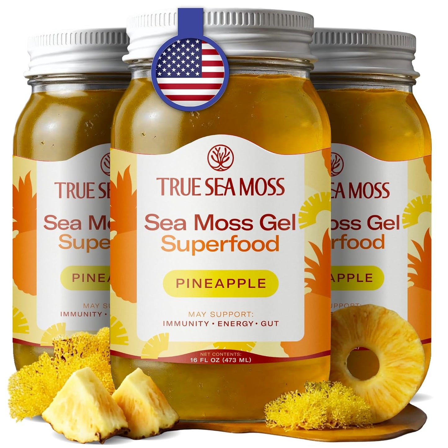 TrueSeaMoss Sea Moss Gel – Made in USA – Wildcrafted Seamoss, Dried Seaweed & Jarred Vegetables – Original, Pack of 1 (Labels may Vary)