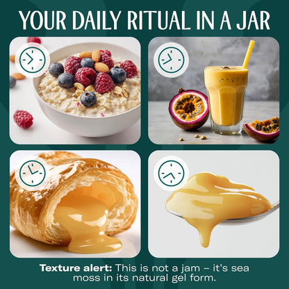 TrueSeaMoss Sea Moss Gel – Limited Edition – Made in USA – Wildcrafted Seamoss, Fresh Fruits & Sea Vegetables – Cherry, Pack of 1 (Labels May Vary)