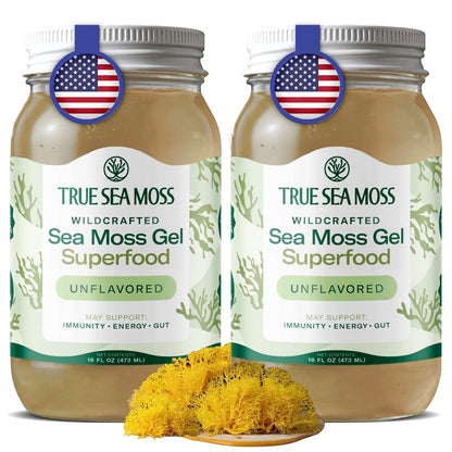 TrueSeaMoss Sea Moss Gel – Made in USA – Wildcrafted Seamoss, Dried Seaweed & Jarred Vegetables – Original, Pack of 1 (Labels may Vary)