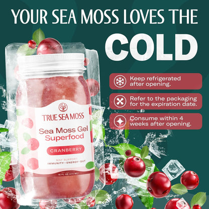 TrueSeaMoss Sea Moss Gel – Made in USA – Wildcrafted Seamoss, Fresh Fruits & Sea Vegetables – Cherry, Pack of 1 (Labels May Vary)